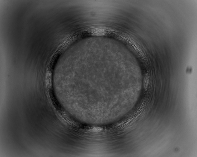 X0000103320598200810171403