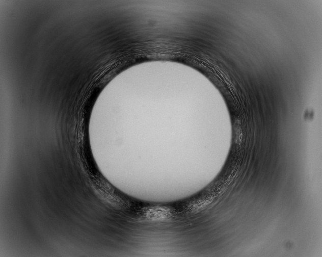 X0000103320599200810171403