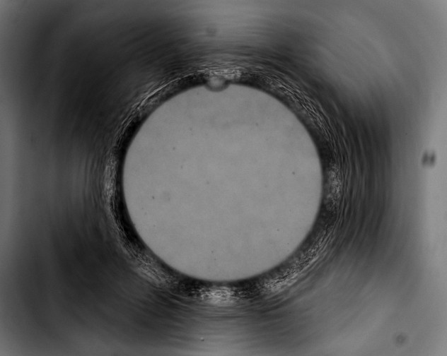 X0000103320600200810171403
