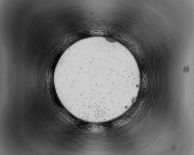 X0000103320601200810171403