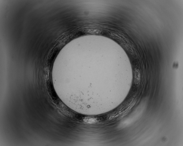 X0000103320602200810171403