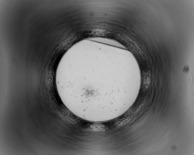 X0000103320603200810171403