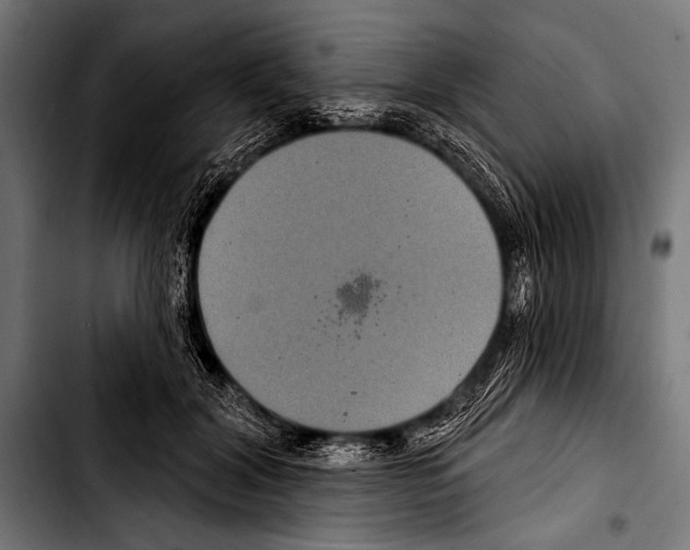 X0000103320604200810171403