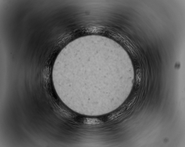 X0000103320605200810171403