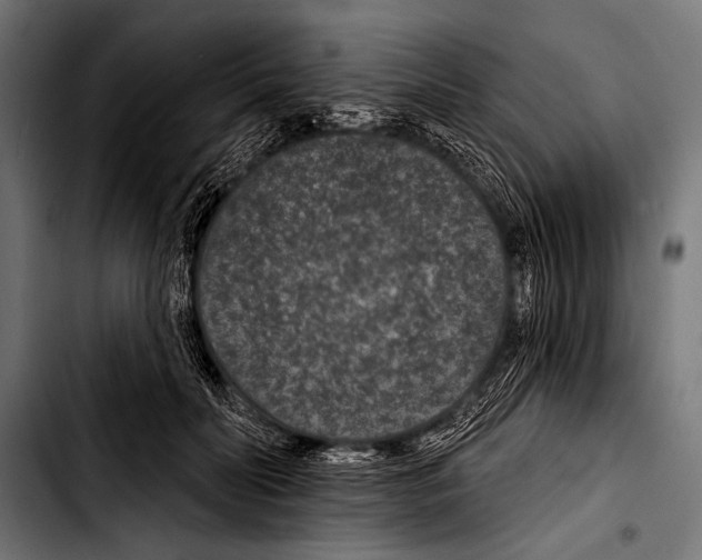 X0000103320606200810171403