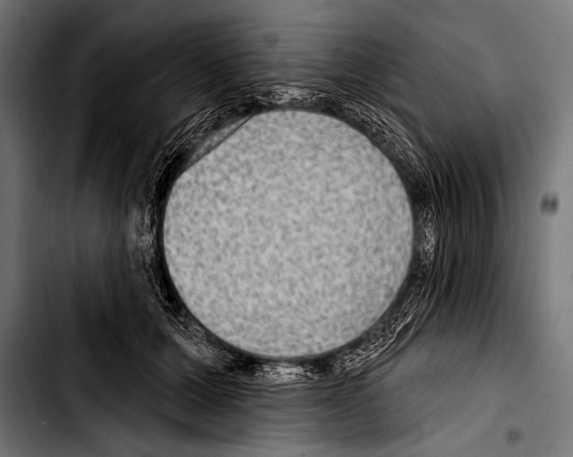 X0000103320607200810171403