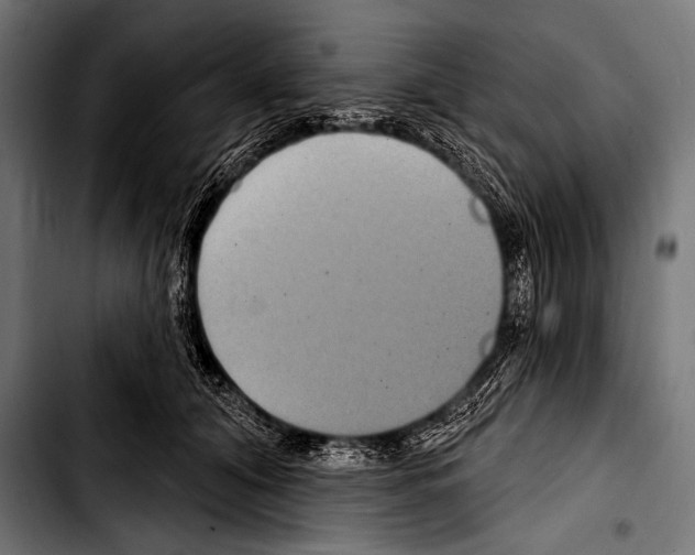 X0000103320608200810171403