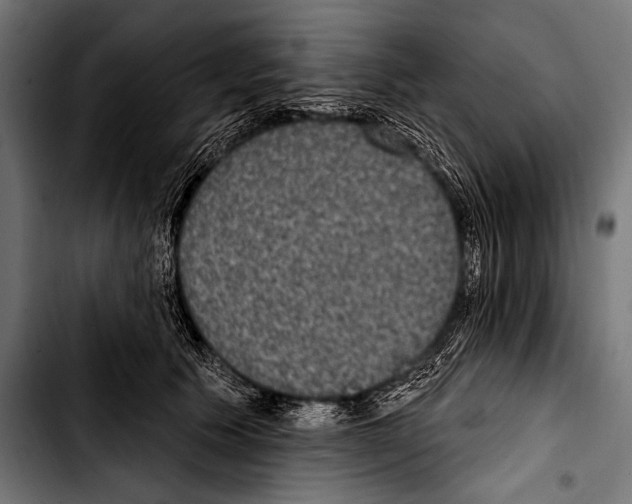 X0000103320609200810171403
