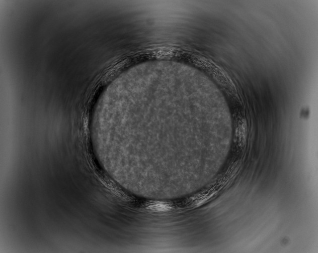 X0000103320610200810171403