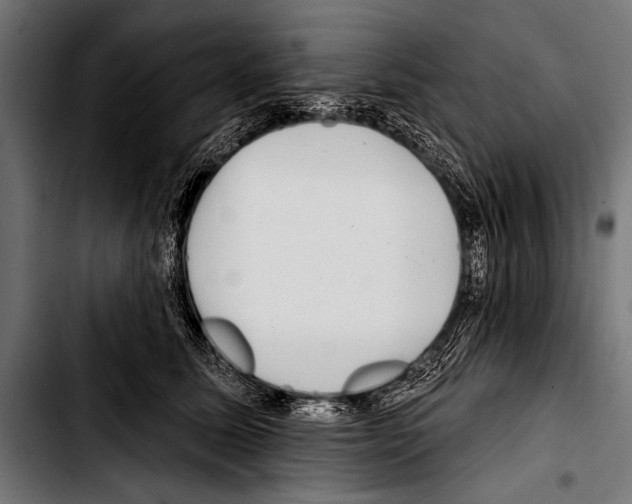 X0000103320611200810171403