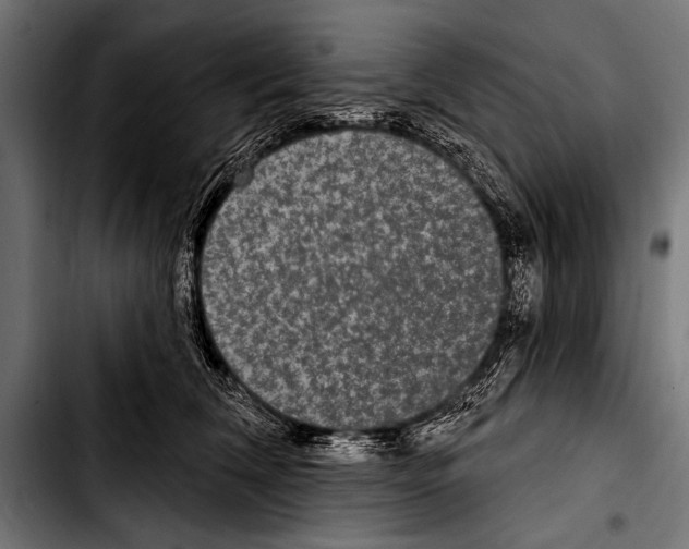 X0000103320612200810171403