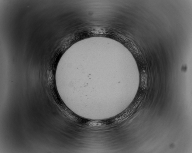 X0000103320614200810171403