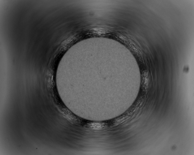 X0000103320615200810171403
