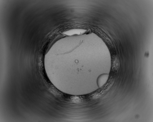 X0000103320616200810171403