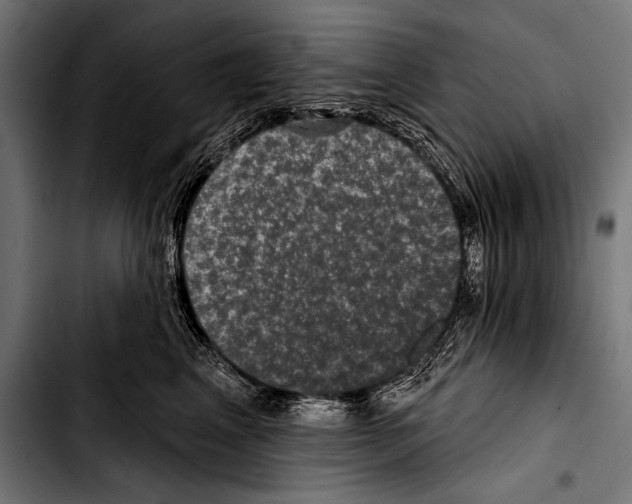 X0000103320617200810171403