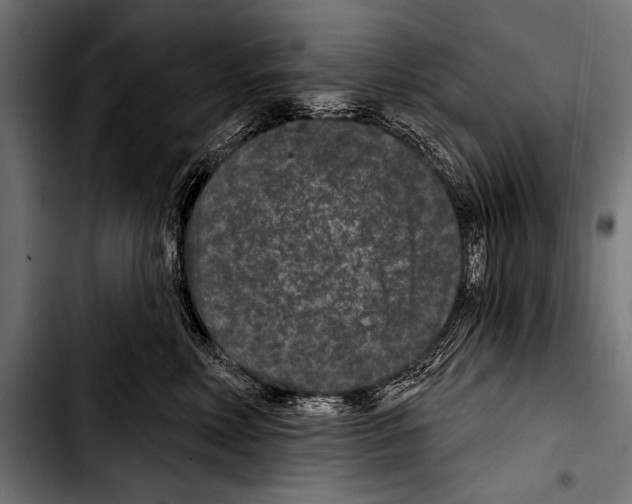 X0000103320618200810171403