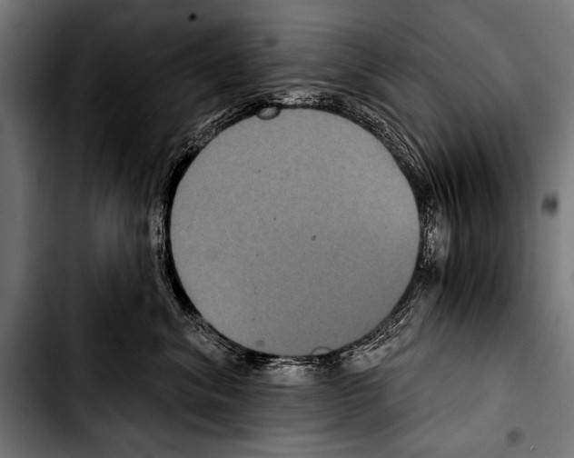 X0000103320620200810171403