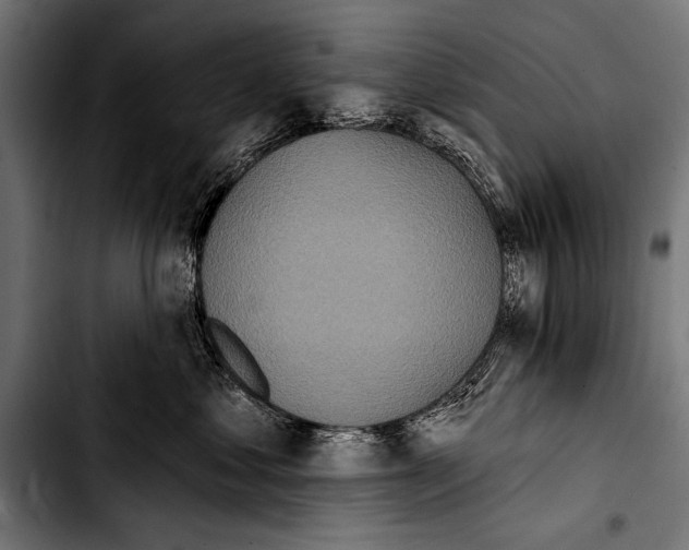 X0000103320621200810171403