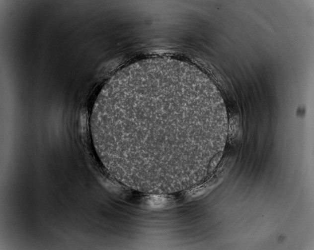 X0000103320623200810171403