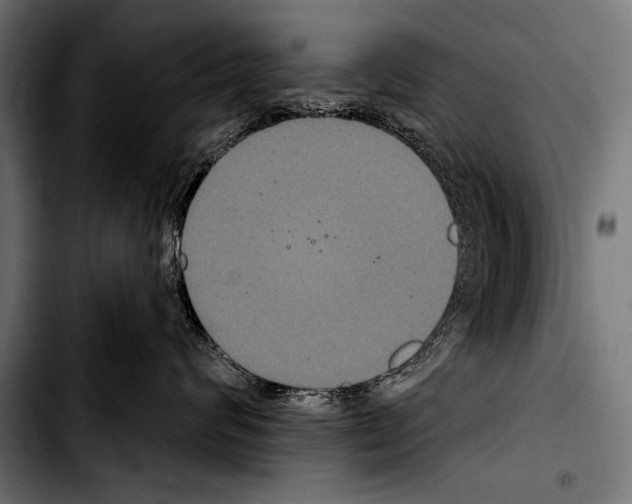 X0000103320624200810171403