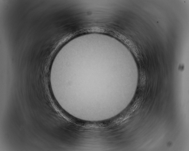 X0000103320625200810171402
