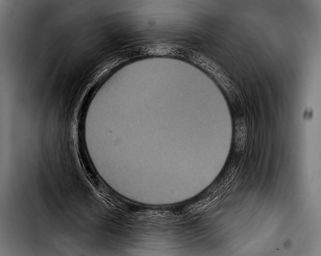 X0000103320626200810171402