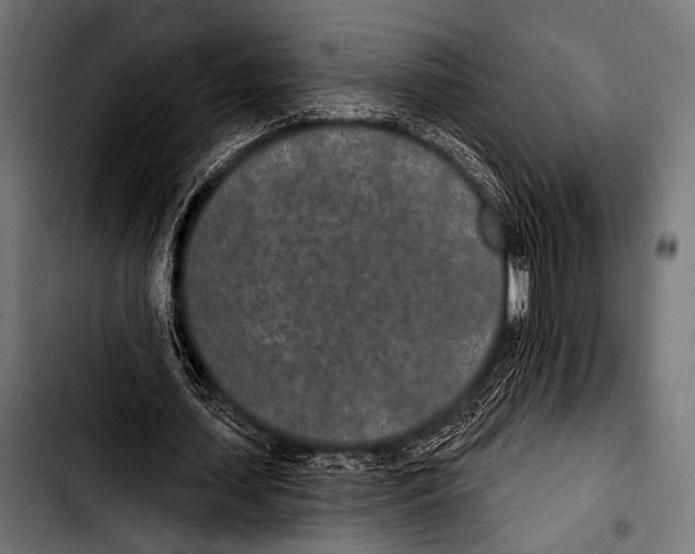X0000103320627200810171402