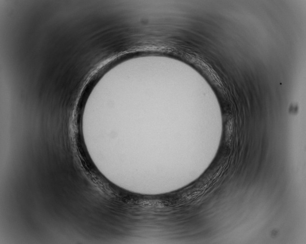 X0000103320628200810171402