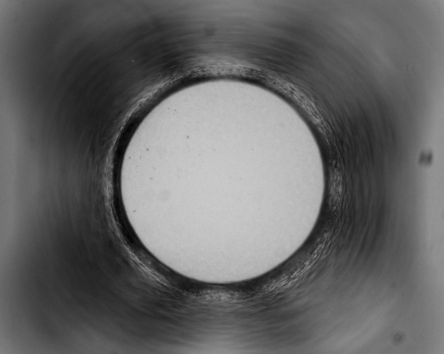 X0000103320629200810171402