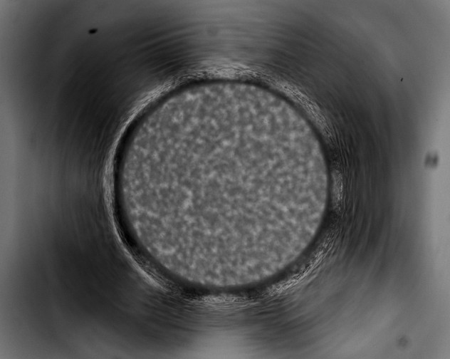 X0000103320630200810171402
