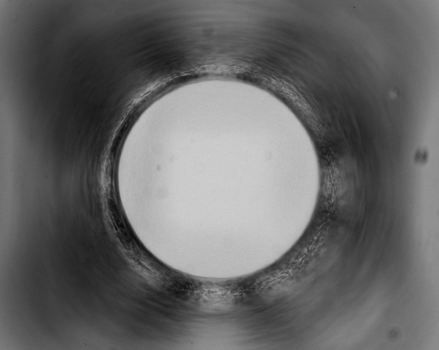 X0000103320632200810171402