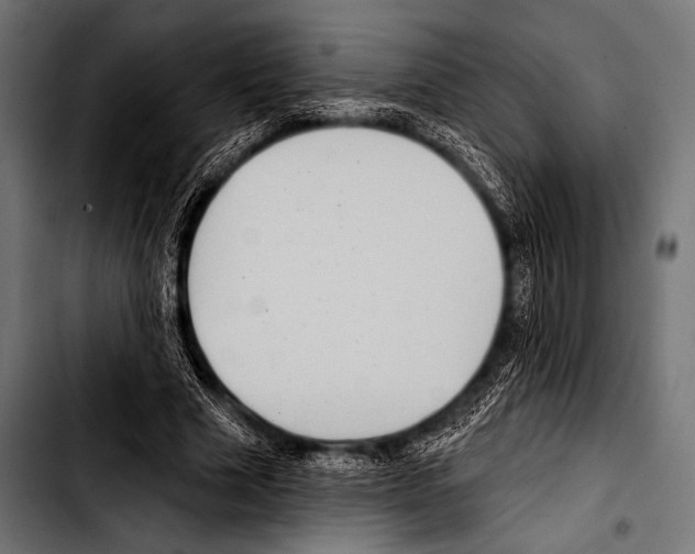 X0000103320633200810171402