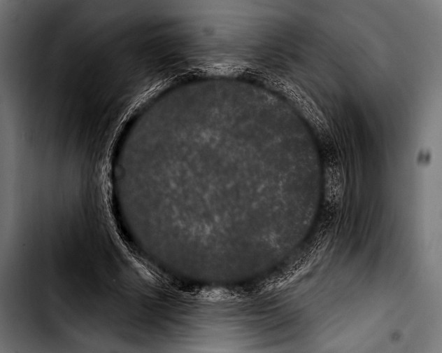 X0000103320634200810171402