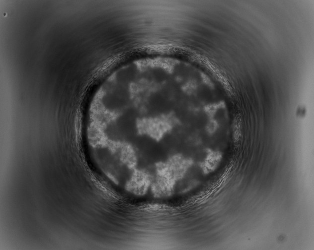 X0000103320637200810171402