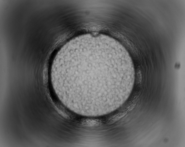 X0000103320638200810171402