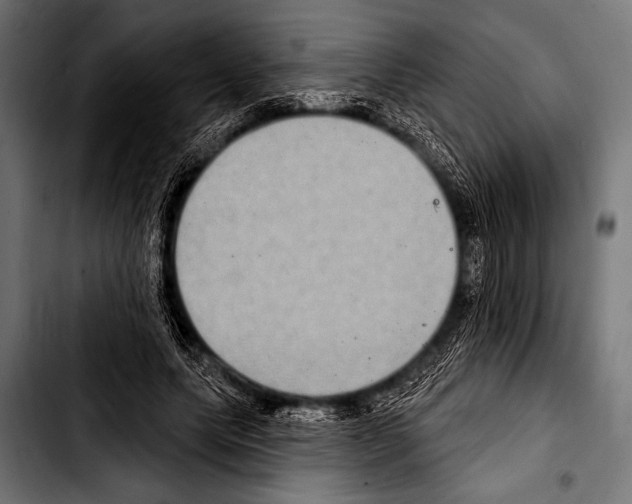 X0000103320639200810171402