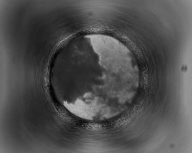 X0000103320640200810171402