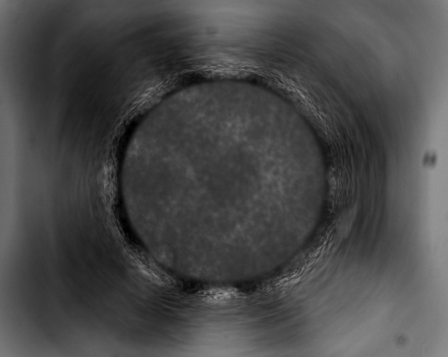 X0000103320642200810171402