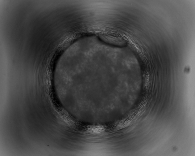X0000103320643200810171402
