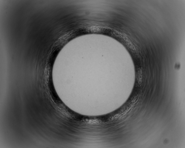 X0000103320645200810171402