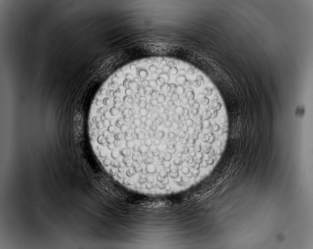 X0000103320646200810171402