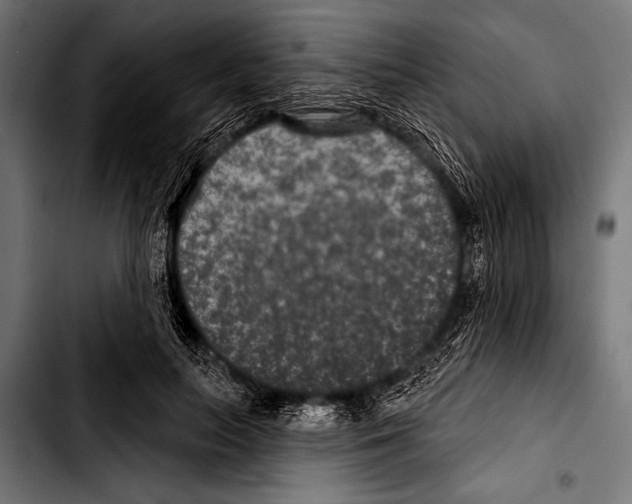 X0000103320647200810171402