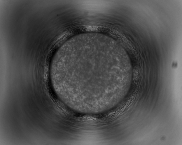 X0000103320648200810171402