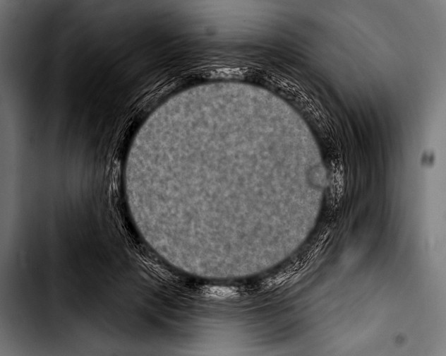 X0000103320649200810171402