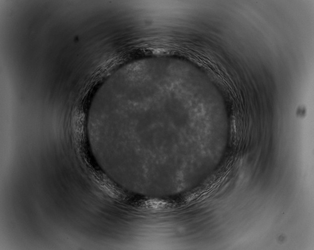 X0000103320650200810171402