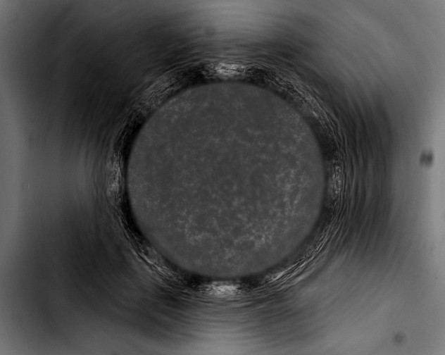 X0000103320651200810171402