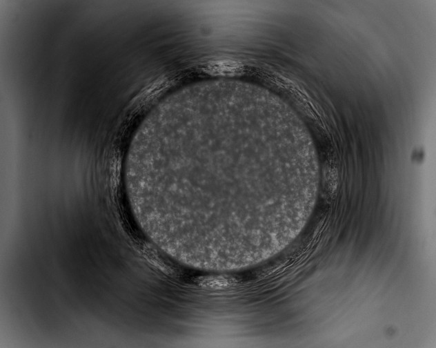 X0000103320652200810171402
