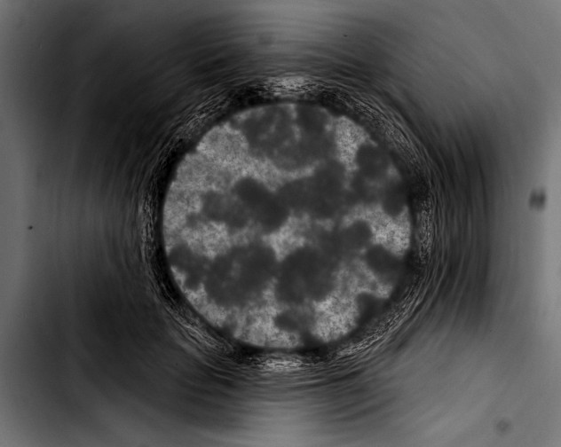 X0000103320653200810171402