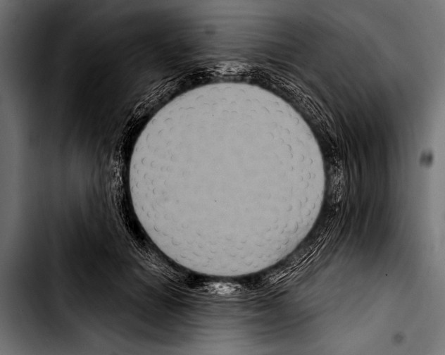 X0000103320654200810171402