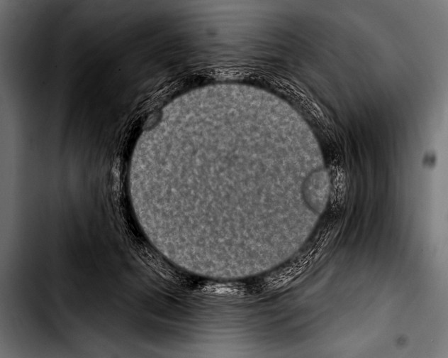 X0000103320655200810171402